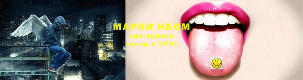 стафф Алзамай