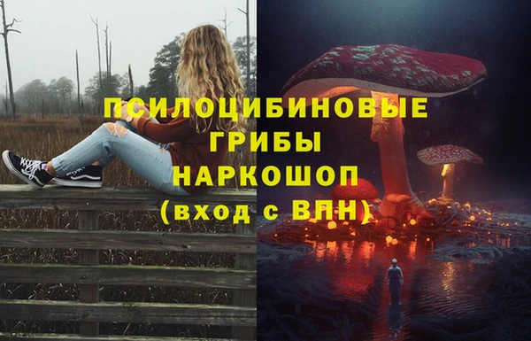 стафф Алзамай